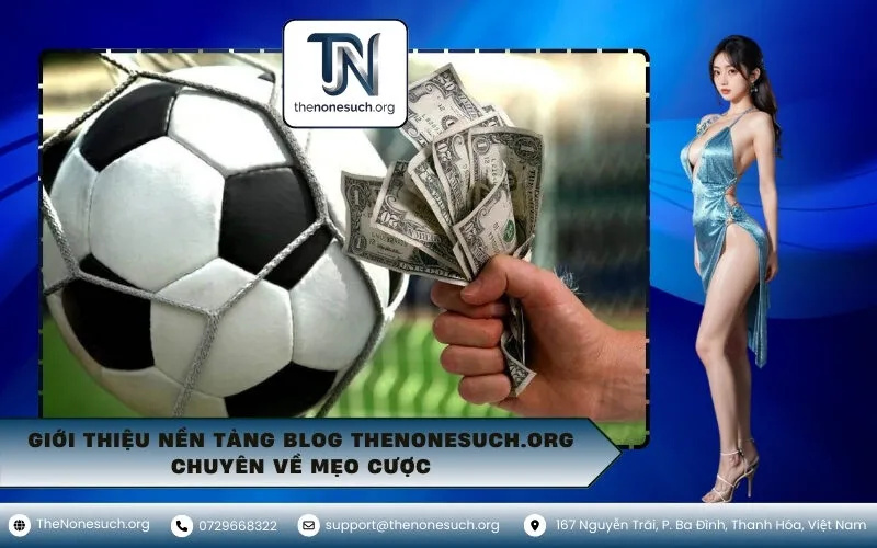Giới Thiệu Nền Tảng Blog thenonesuch.org Chuyên Về Mẹo Cược
